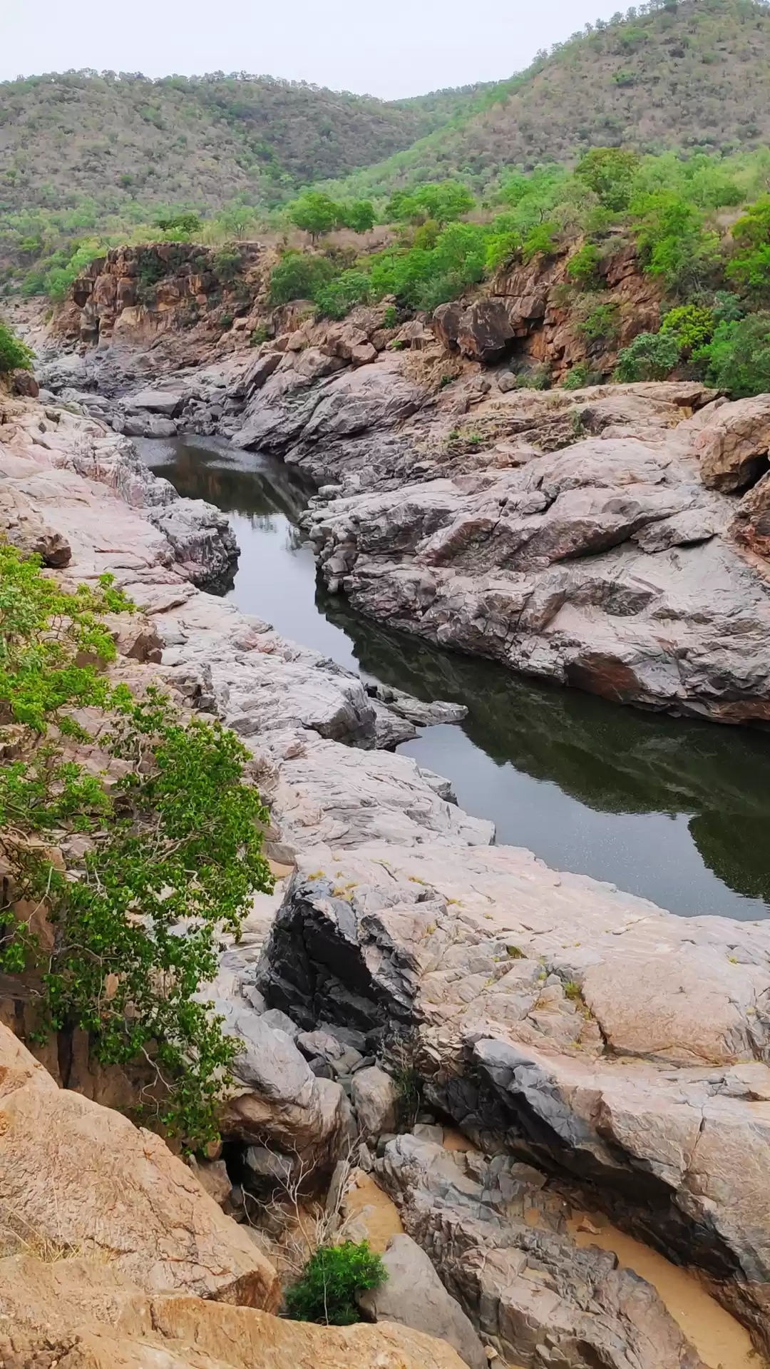 Photo of Mekedatu : Best one 