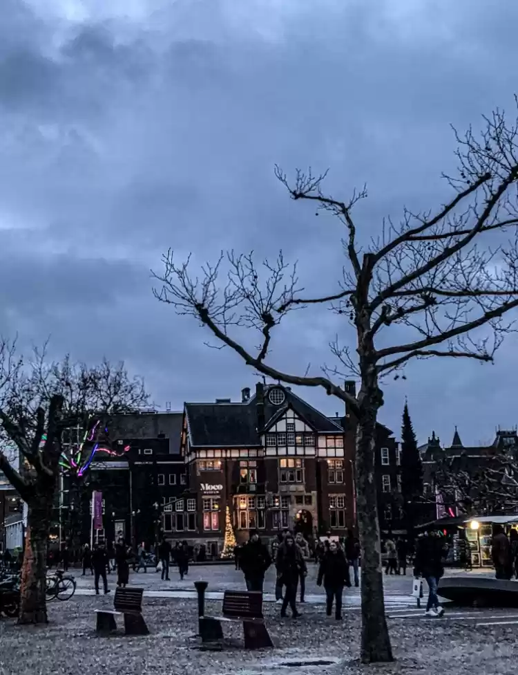 Photo of Things you cannot mi