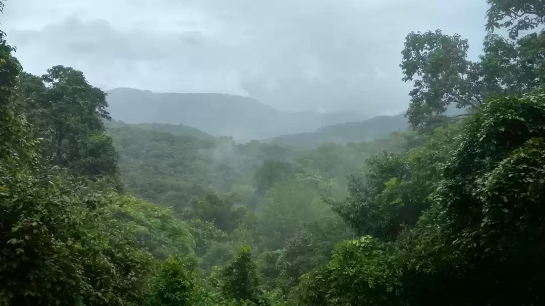 Photo of A Day In Uttara Kann