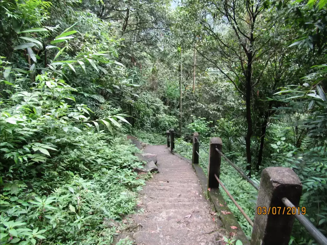 Photo of The breathing path. 