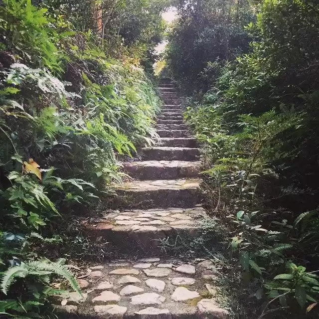 Photo of Hiking MacLehose Tra