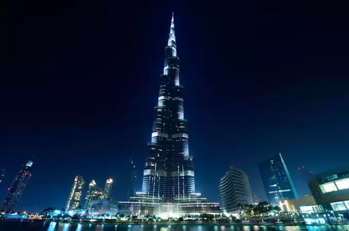 Photo of THE MAGNIFICIENT DUB