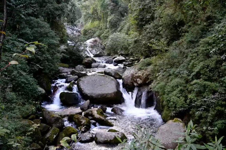 Photo of Gorgeous DARJEELING