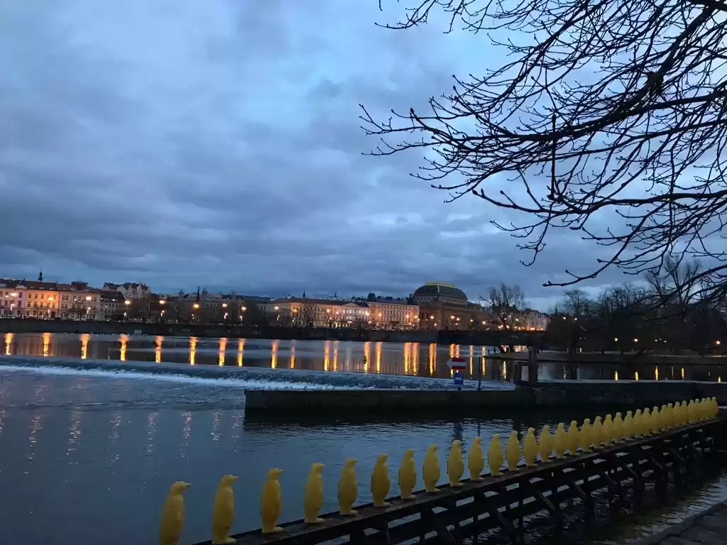 Photo of The Romanticism of P