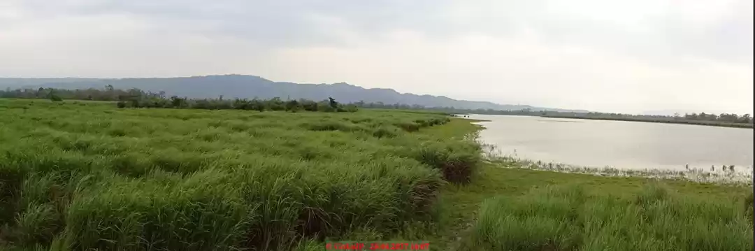 Photo of Short and Sweet Jour