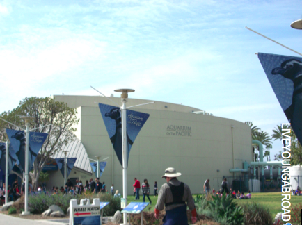 Photo of Fun In Los Angeles With The Family