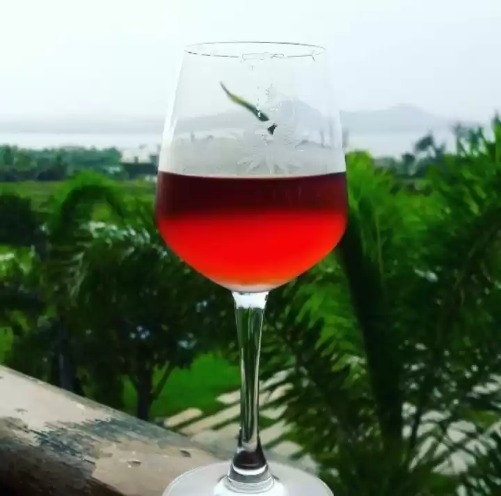 Photo of Nashik, the Wine Cap