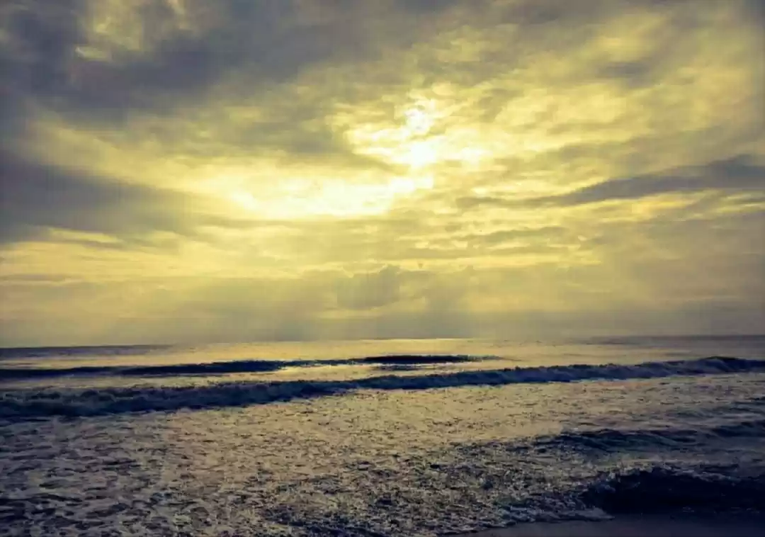 Photo of Different Shades Of 