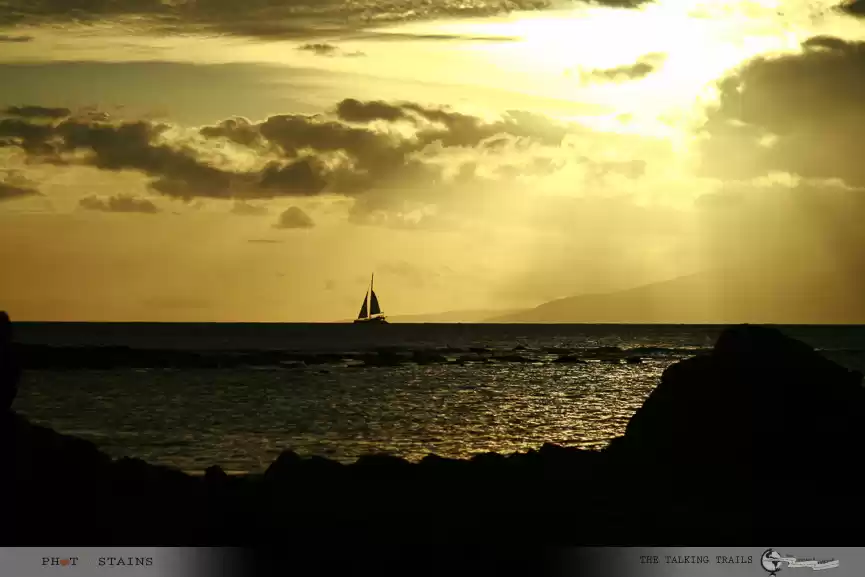 Photo of NO , I WILL NOT QUIT