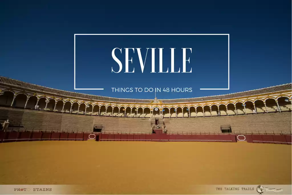 Photo of Seville : Things to