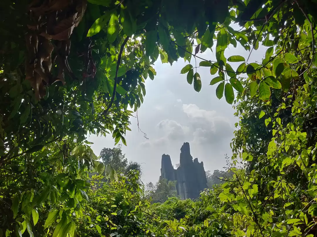 Photo of A short ride to the 