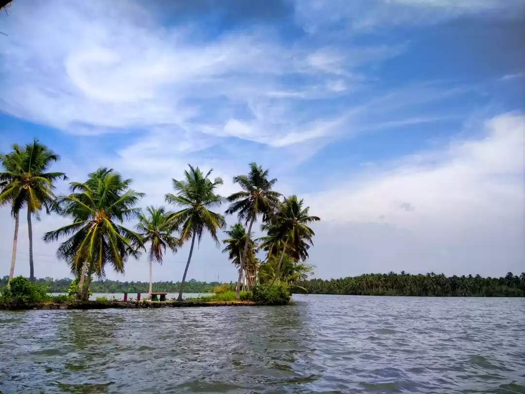 Photo of Why God's Own Countr