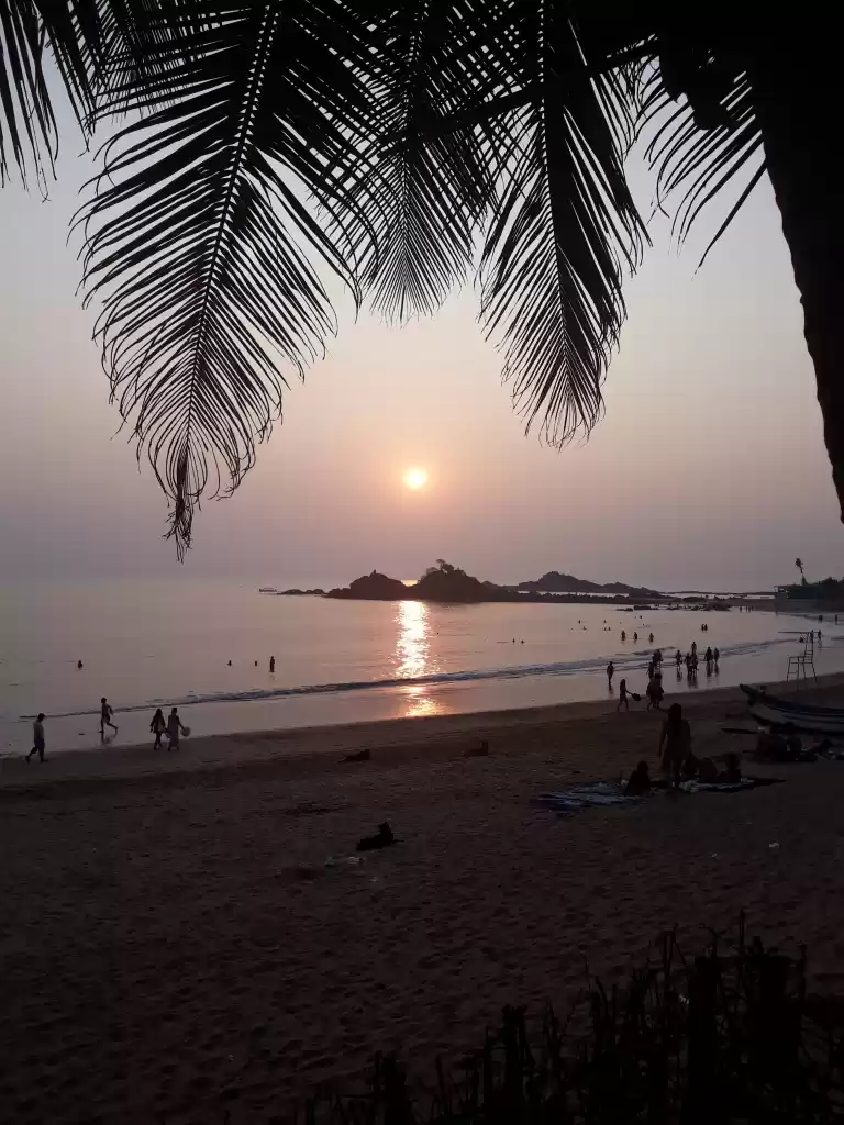 Photo of What do 4 Days of Vi