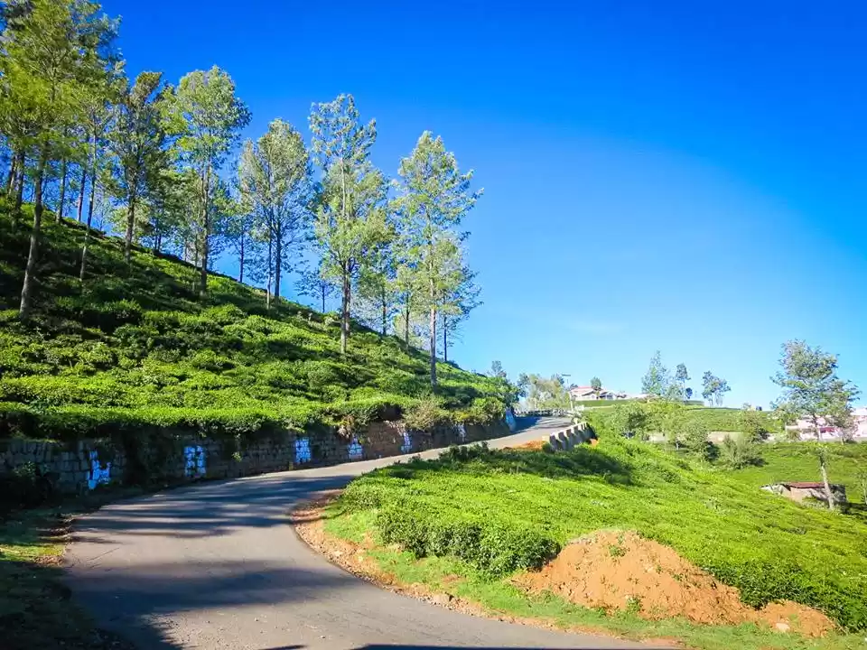 Photo of Why Do Ooty, When Yo