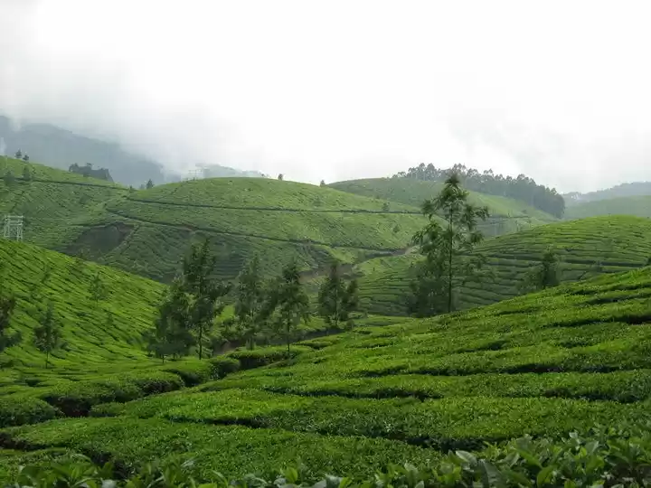 Photo of Memoirs of Kerala