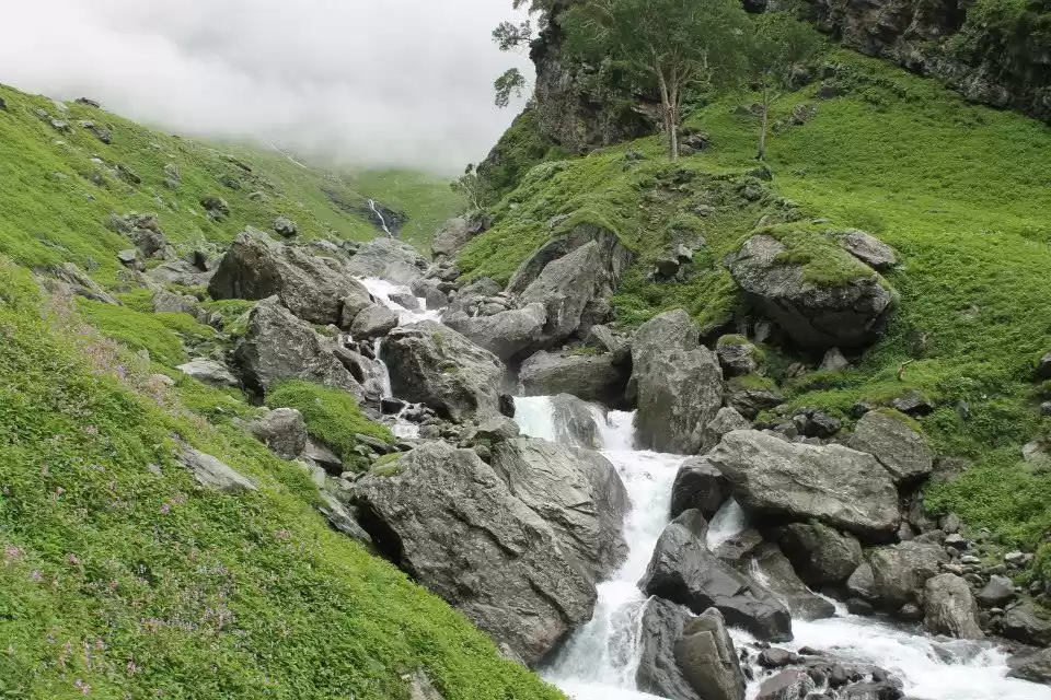 Photo of My First Himalayan T