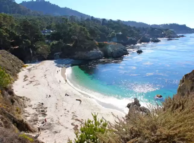 Photo of What Makes Monterey