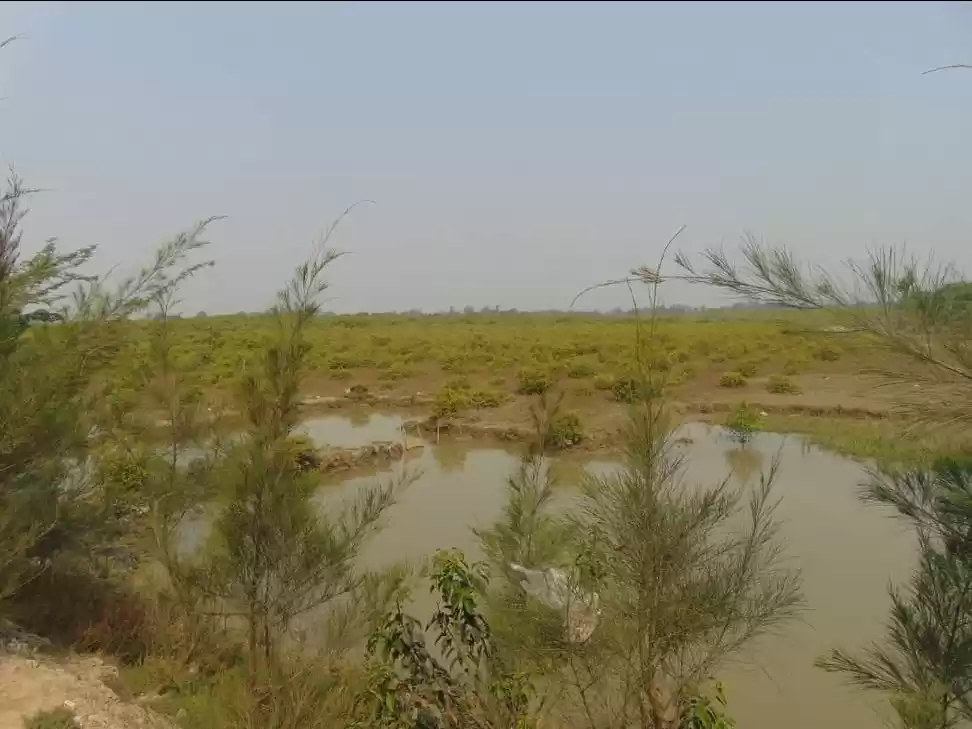 Photo of A Tale of Virgin Isl