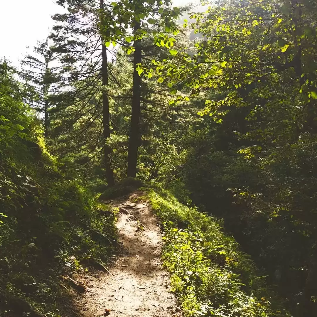 Photo of Adventurous #DayTrek