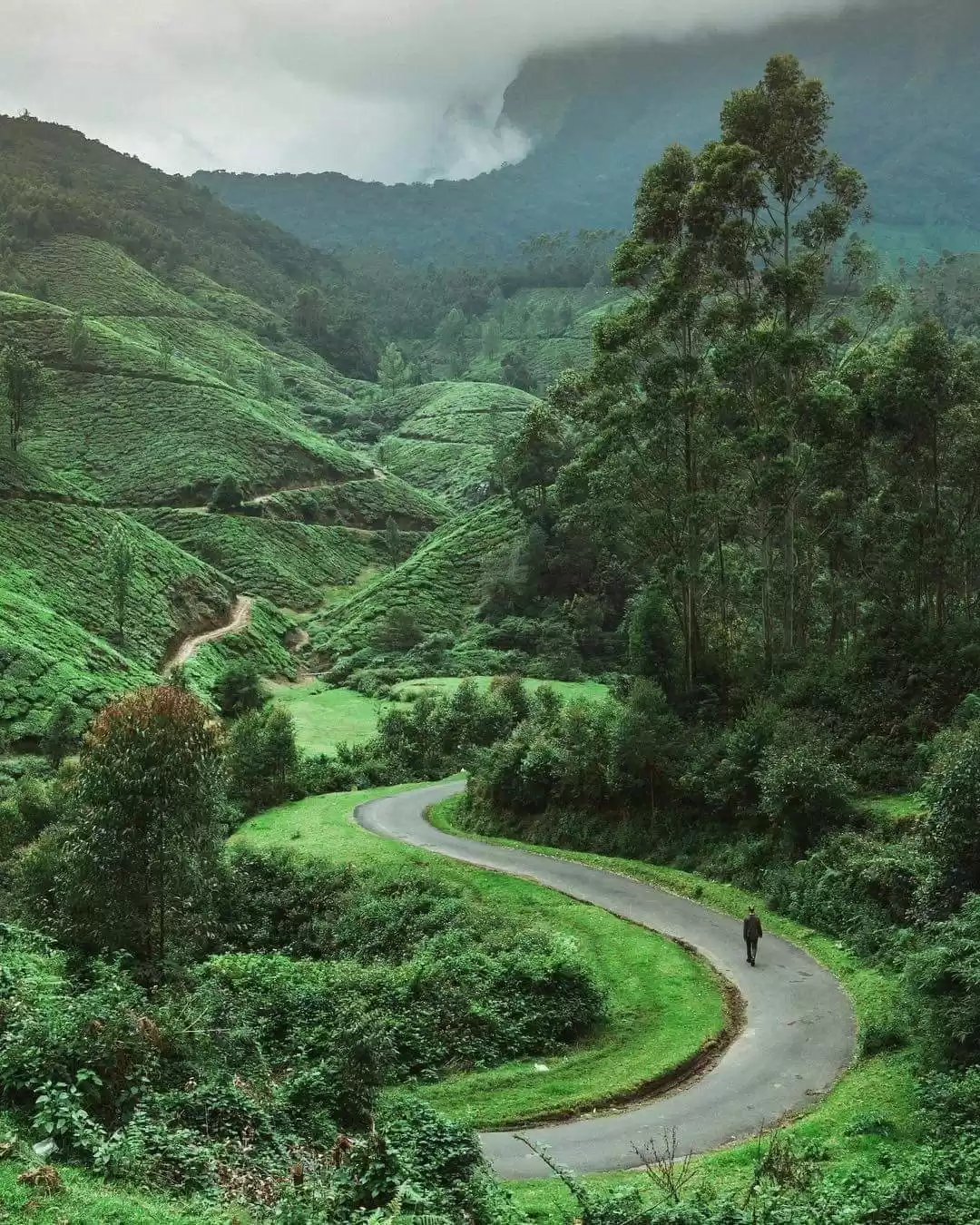 Photo of God's Own Country -