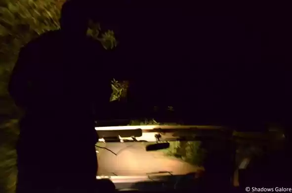 Photo of Satpura: A Night Saf