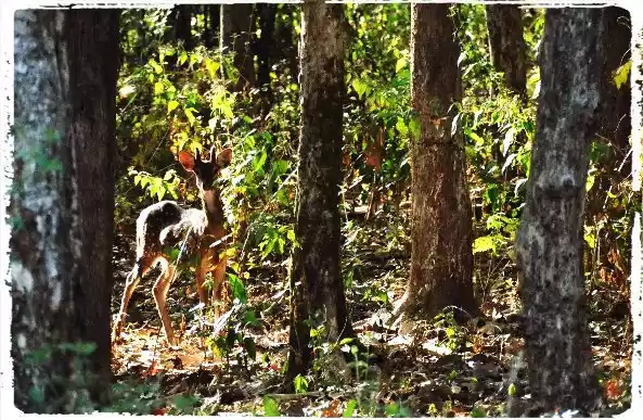 Photo of A Traveler’s Guide t