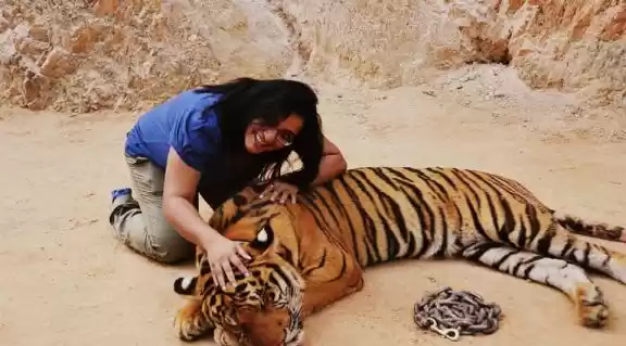 Photo of The Tiger Temple at 