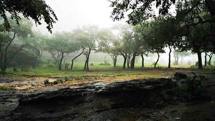 Pachmarhi India Journey To Pachmarhi Hill Station In Madhya Pradesh Tripoto #travel #incredibleindia #pachmarhi #hillstation #madhyapradesh #heartofindia #madhyapradeshtourism places to visit in pachmarhi pachmarhi madhya pradesh pachmarhi. journey to pachmarhi hill station in