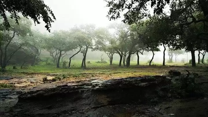 Photo of Pachmarhi..!! A Hill