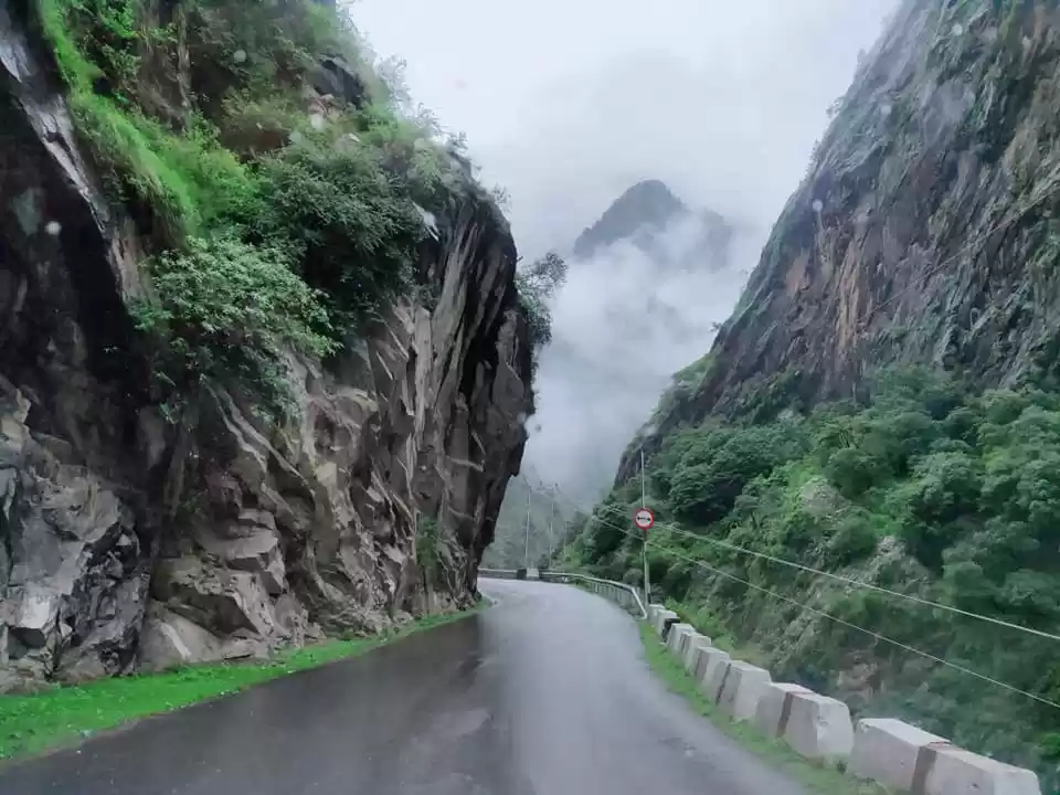 Photo of VALLEY OF FLOWERS