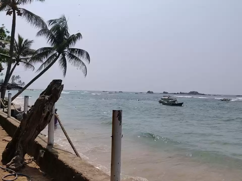 Photo of Start the New Year i