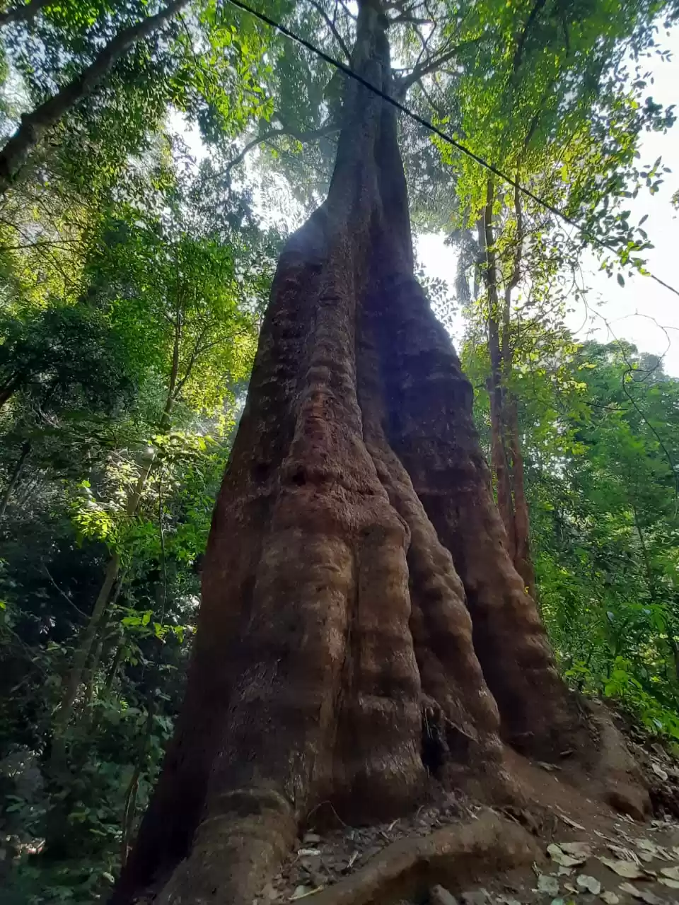 Photo of Yana caves, Gokarna