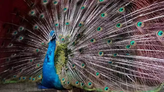 Photo of All about my first t