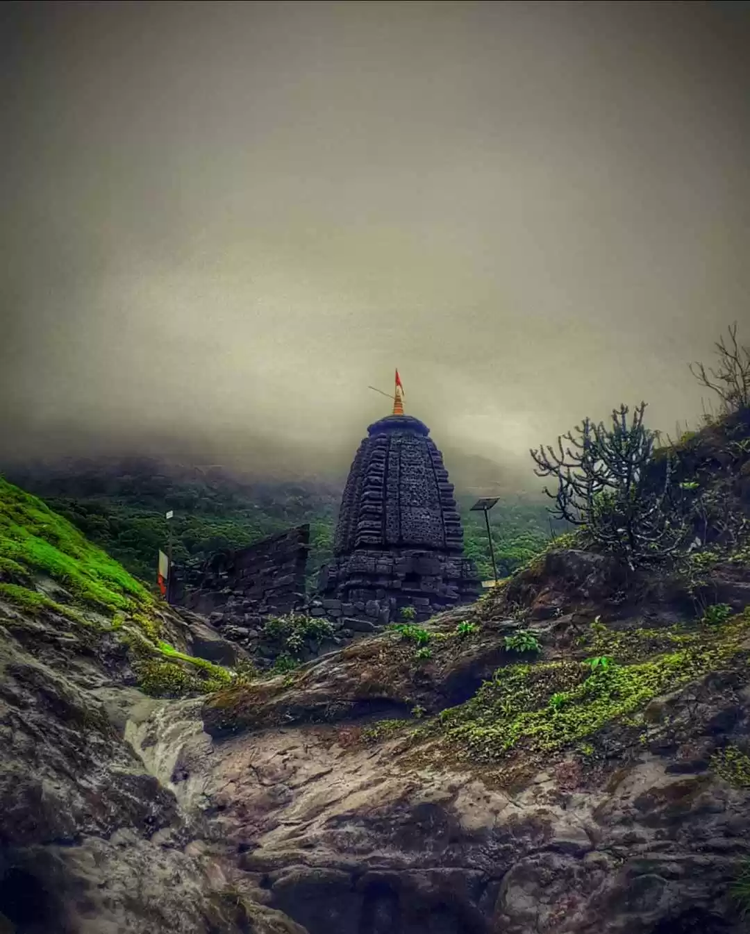 Photo of Harishchandra Gad Tr