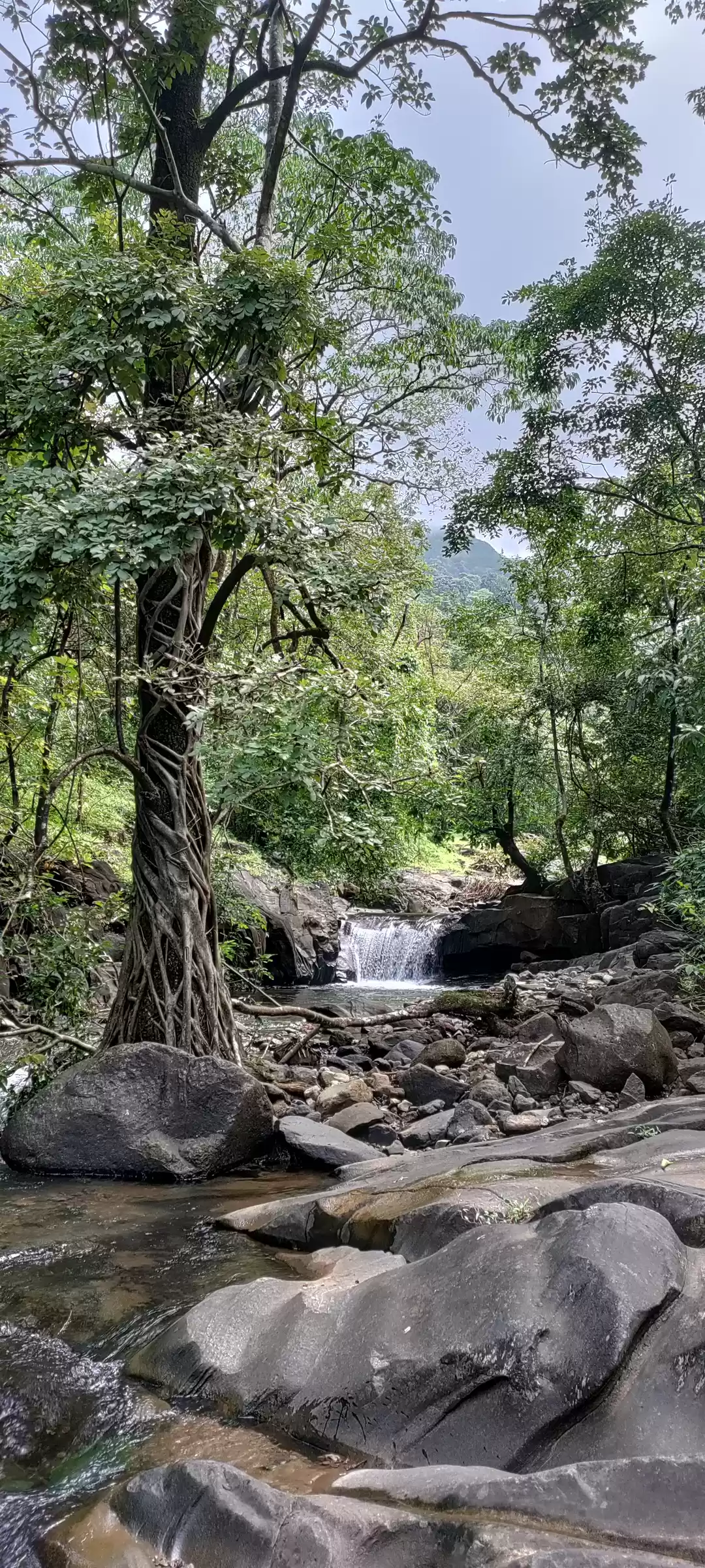 Photo of Rangana Gad Trek: Of