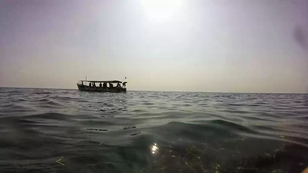 Photo of The World Underneath