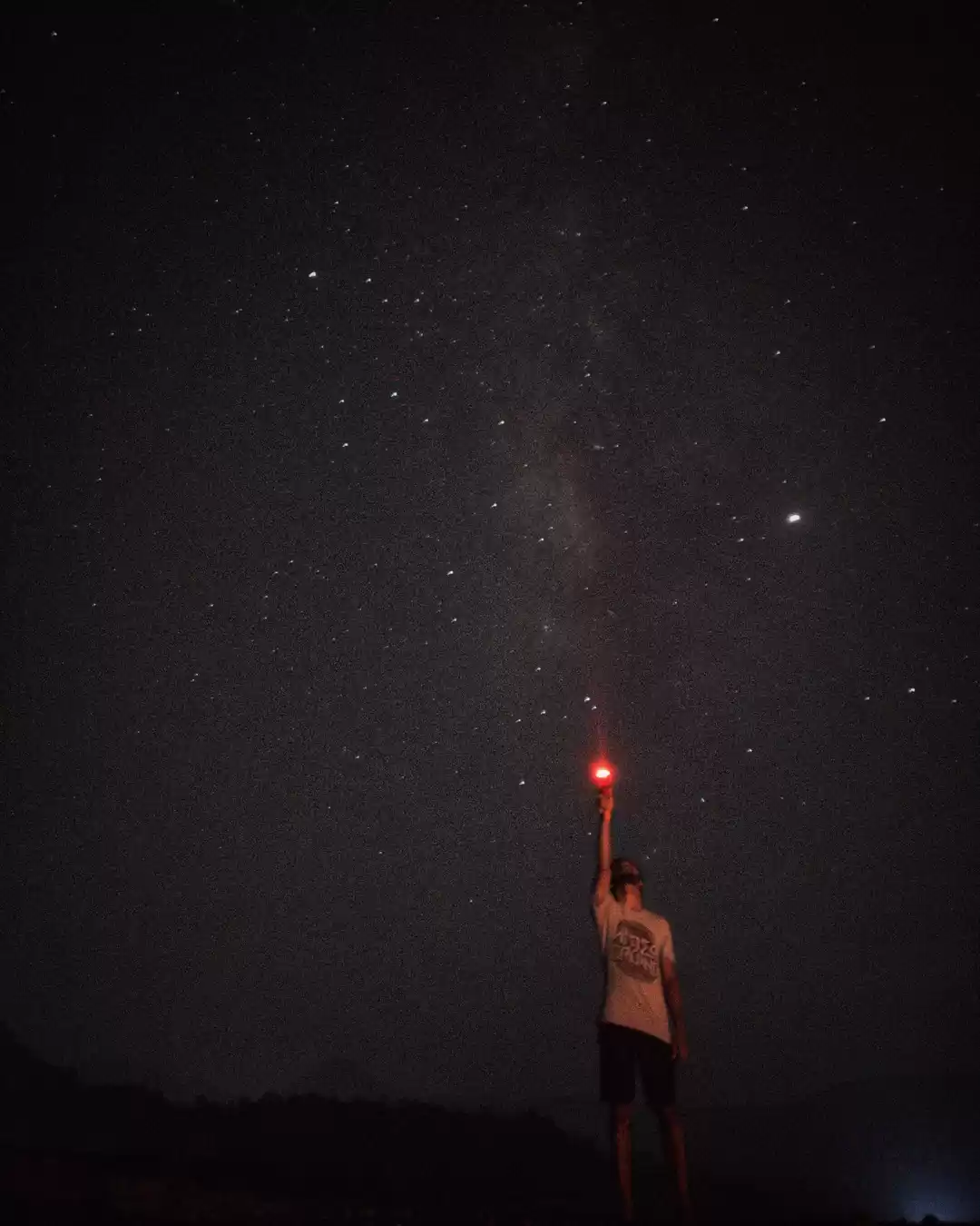 Photo of A Night Among Firefl