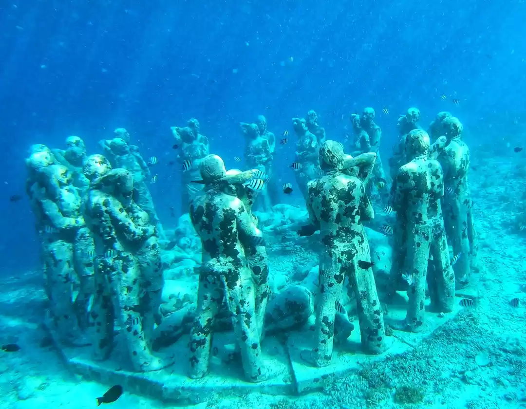 Photo of The Party Island - G