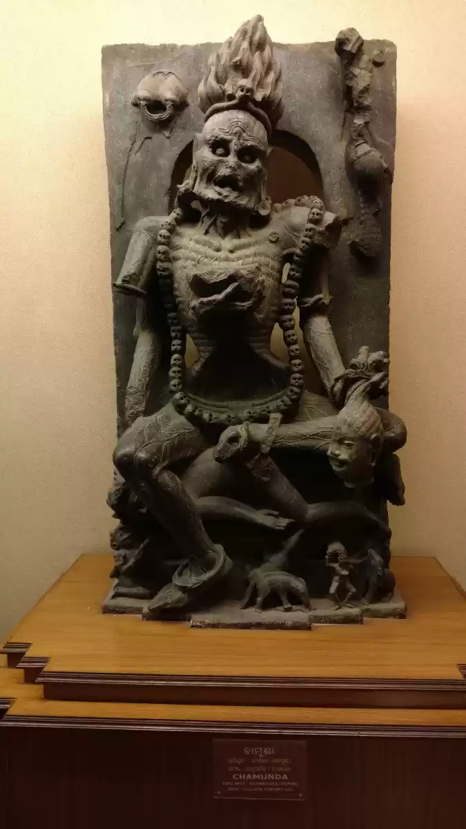 Photo of ODISHA-III:The Oc-cu