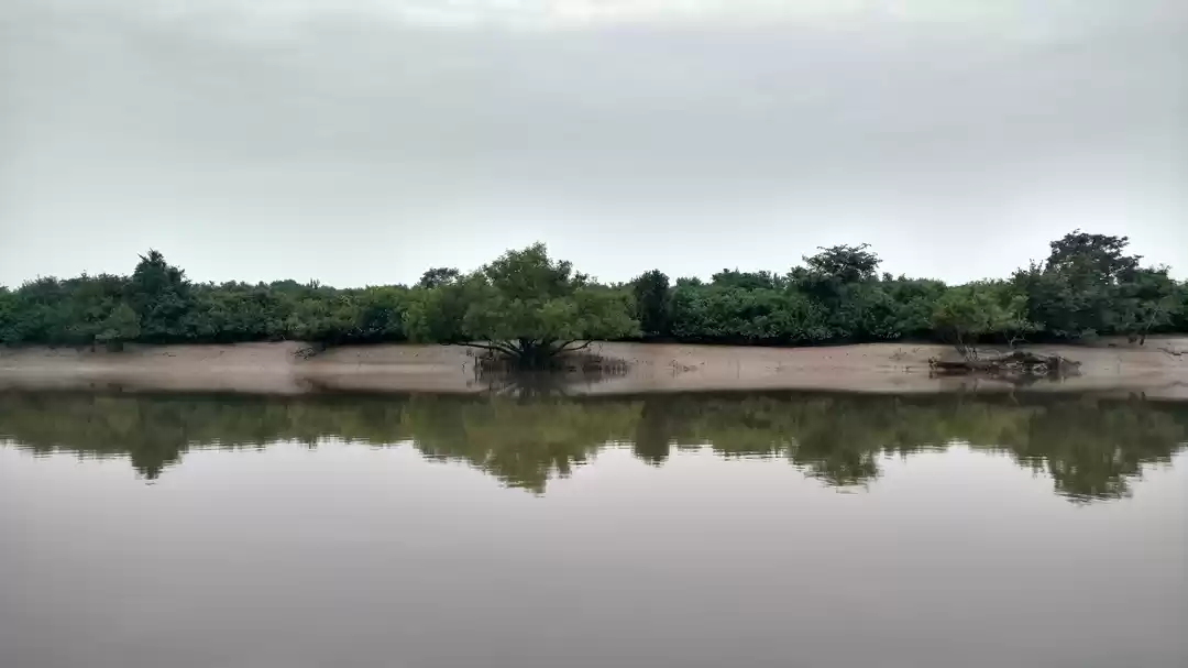 Photo of ODISHA-V: Bhitarkani