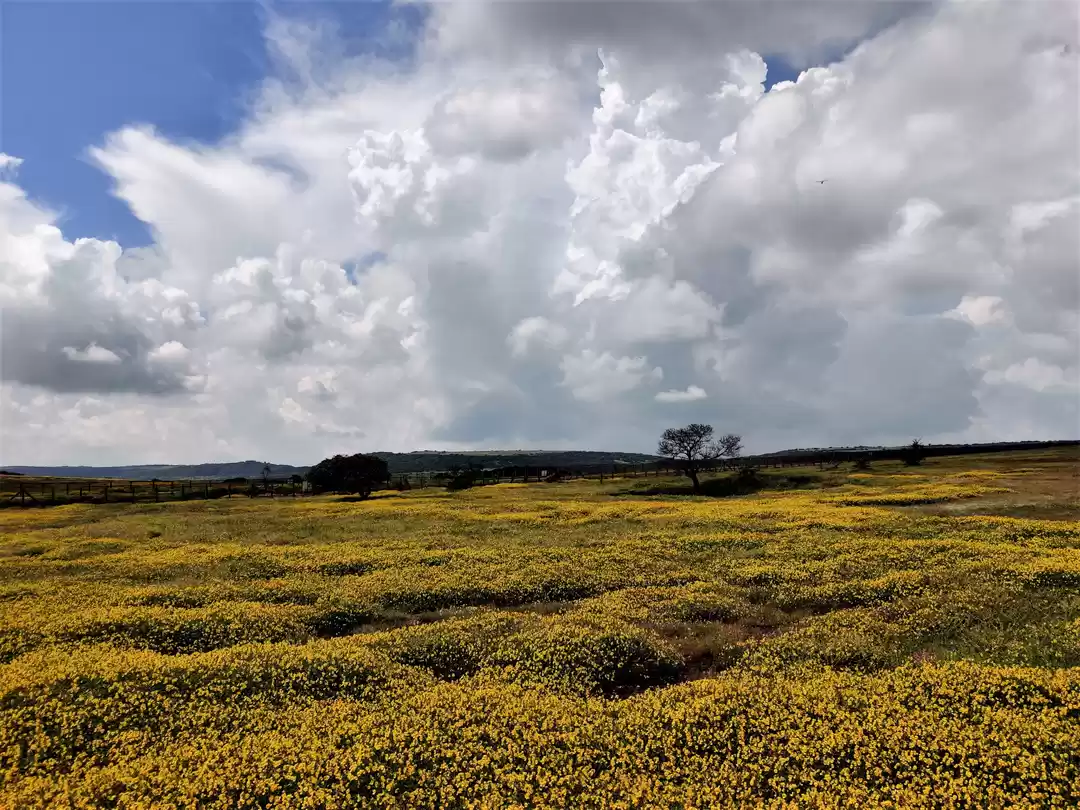 Photo of Want to experience t