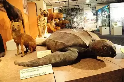 Photo of 6 Places To Discover