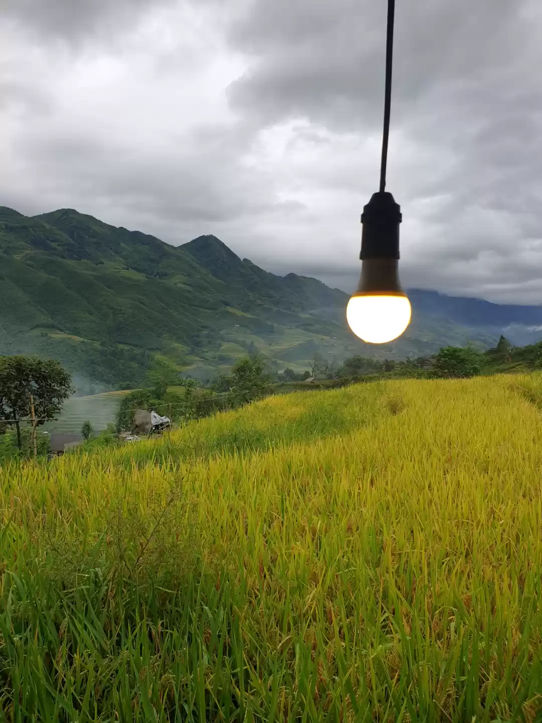 Photo of Hanoi & Sapa
