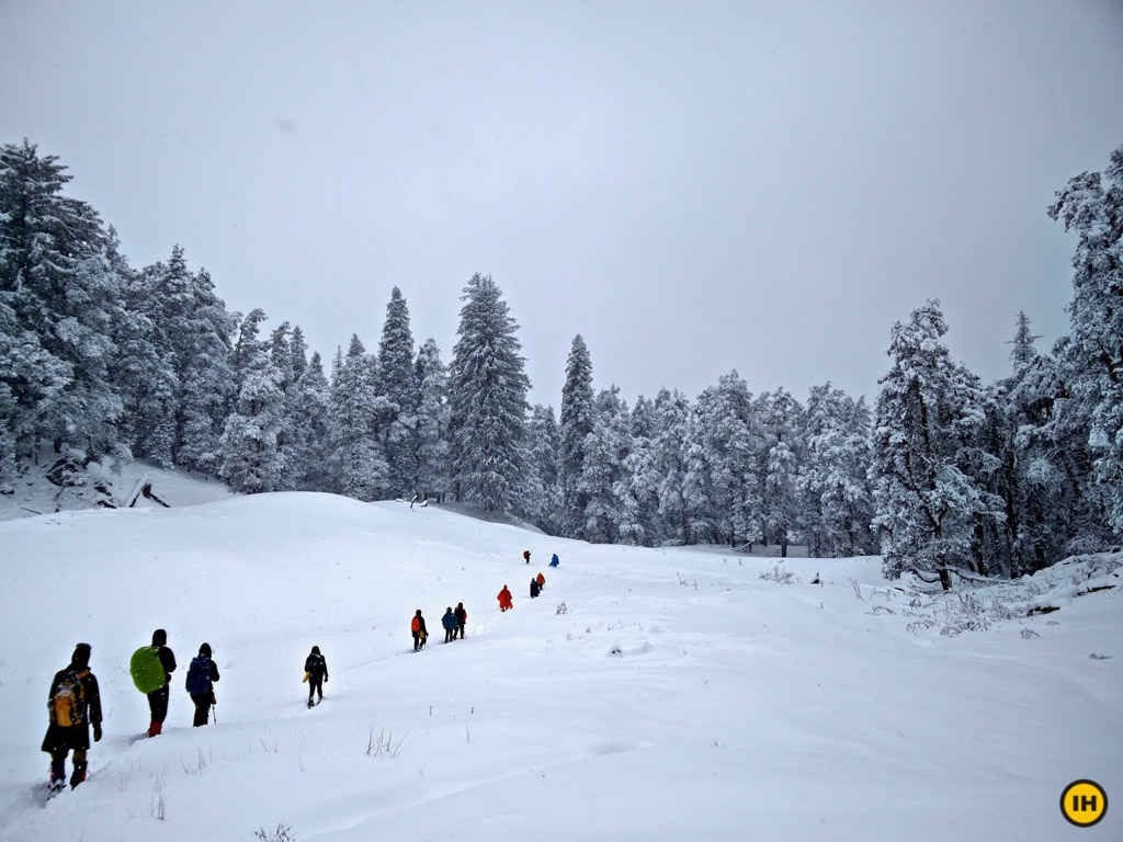 Photo of Kedarkantha - A blizzardous adventure