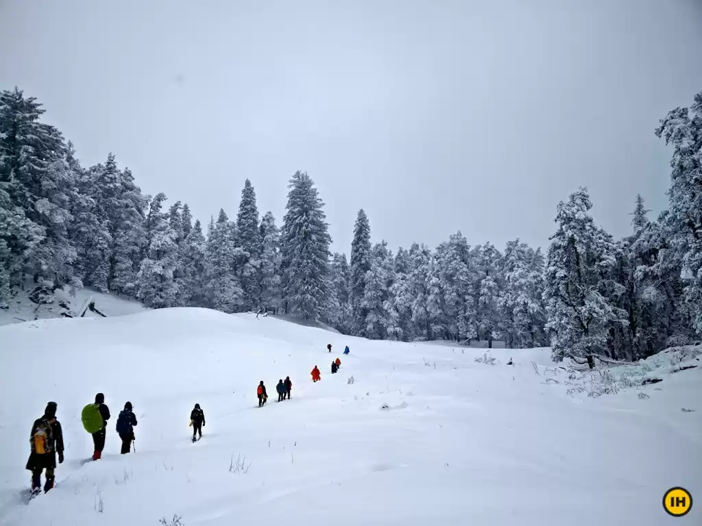 Photo of Kedarkantha - A bliz