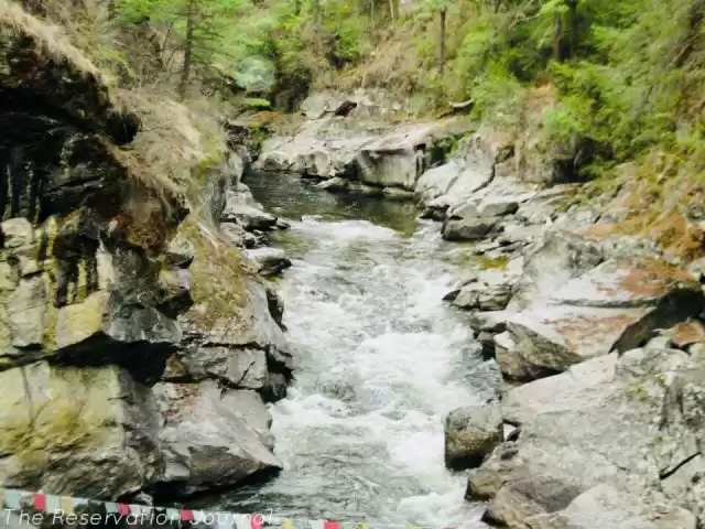 Photo of Amidst Peaceful Mona
