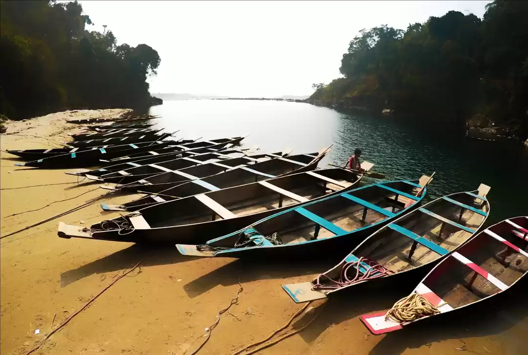 Photo of Awesome Assam, Magni