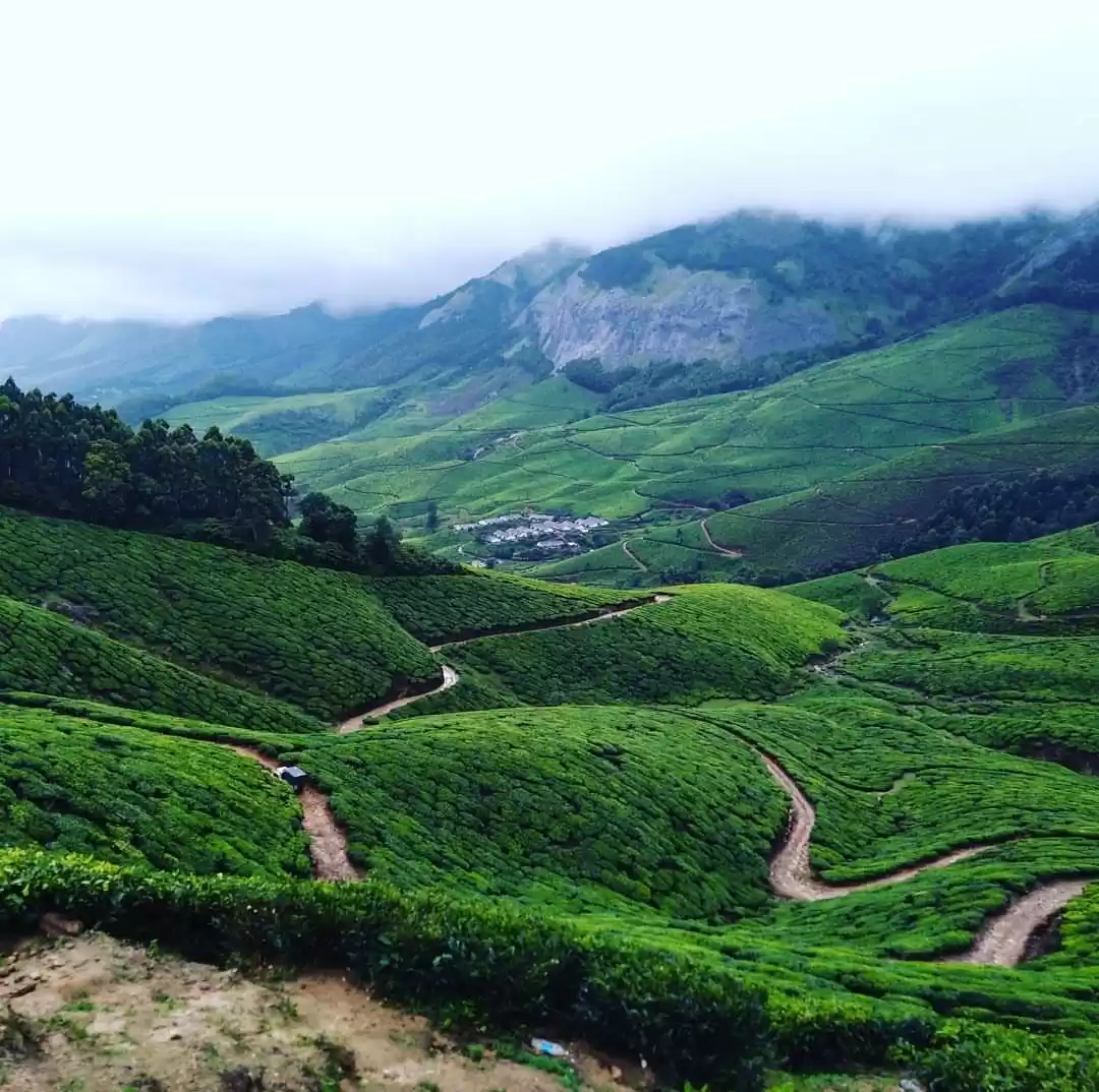 Photo of Mesmerizing Munnar :