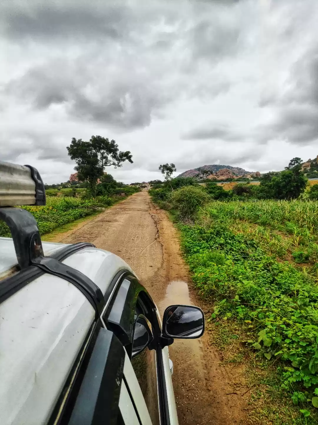 Photo of Roading to south