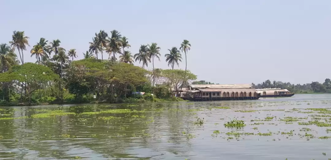 Photo of Kerela - What to do